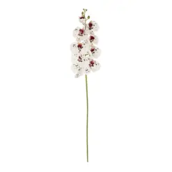 Alternative view of GloboStar® Artificial Garden WHITE ORCHID BRANCH 21406 Τεχνητό Διακοσμητικό Κλαδί Λευκή Ορχιδέα Y95cm