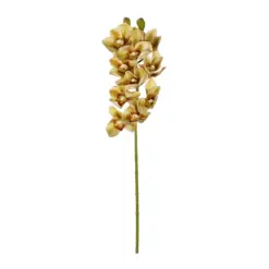 Alternative view of GloboStar® Artificial Garden CHAMPAGNE CYMBIDIUM BRANCH 21408 Τεχνητό Διακοσμητικό Κλαδί Σαμπανί Κυμβίδιο  Y75cm