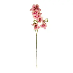 Alternative view of GloboStar® Artificial Garden CHAMPAGNE PINK ORCHID  BRANCH 21411 Τεχνητό Διακοσμητικό Κλαδί Σαμπανί Ορχιδέα Y70cm