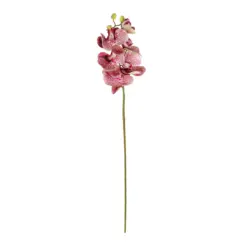 Alternative view of GloboStar® Artificial Garden  PINK ORCHID  BRANCH 21412 Τεχνητό Διακοσμητικό Κλαδί Ροζ Ορχιδέα Y70cm