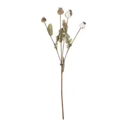 Alternative view of GloboStar® Artificial Garden POPPY FRUIT BRANCH 21433 Τεχνητό Διακοσμητικό Κλαδί Παπαρούνα Y60cm
