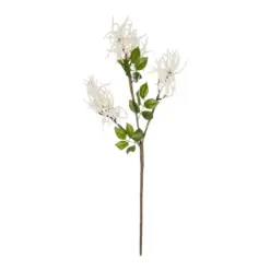 Alternative view of GloboStar® Artificial Garden WHITE AMARANTHUS FRUIT BRANCH 21447 Τεχνητό Διακοσμητικό Κλαδί Λευκός Αμάρανθος Y95cm