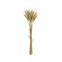 Alternative view of GloboStar® Artificial Garden REAL DRIED WHEAT GRASS 21488 Τεχνητό Διακοσμητικό Κλαδί Σιταριού Y30cm - Σετ 10 τμχ