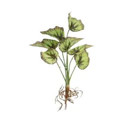 Alternative view of GloboStar® Artificial Garden BEGONIA LEAVES ROOTED 21491 Τεχνητό Διακοσμητικό Φυτό Πολύχρωμη Βιγόνια Μ25 x Π14 x Υ35cm
