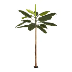 Alternative view of GloboStar® Artificial Garden BANANA TREE 21501 Τεχνητό Διακοσμητικό Δέντρο Μπανανιάς Υ400cm