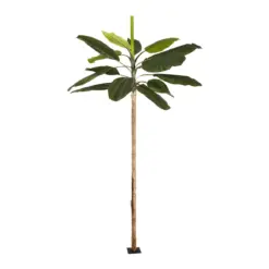 Alternative view of GloboStar® Artificial Garden BANANA TREE 21502 Τεχνητό Διακοσμητικό Δέντρο Μπανανιάς Υ500cm