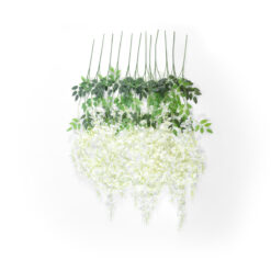 Alternative view of GloboStar® Artificial Garden WHITE WISTERIA FLOWER BRANCH 21513 Σετ 12 Τεχνητά Διακοσμητικά κλαδιά Βιστέριας Λευκό Φ45 x Υ120cm