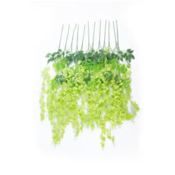 Alternative view of GloboStar® Artificial Garden GREEN WISTERIA FLOWER BRANCH 21514 Σετ 12 Τεχνητά Διακοσμητικά κλαδιά Βιστέριας Πράσινο Φ45 x Υ120cm