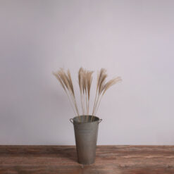 GLOBOSTAR® MISCANTHUS 36537 Αποξηραμένο Διακοσμητικό Μπουκέτο Μίσχανθος - Μπεζ - Μ20 x Π20 x Υ100cm - Πακέτο 20 Τεμαχίων