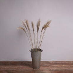 GloboStar® MISCANTHUS 36538 Αποξηραμένο Φυτό Μίσχανθος - Μπουκέτο Διακοσμητικών Κλαδιών Μπεζ Υ120cm - Σετ 10 τμχ