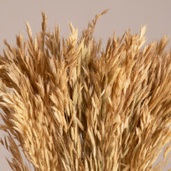 Alternative view of GloboStar® WHEAT 36550 Αποξηραμένο Φυτό Σίτος - Μπουκέτο Διακοσμητικών Κλαδιών Μπεζ Υ60cm - Σετ 100 τμχ