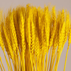 Alternative view of GloboStar® BARLEY 36552 Αποξηραμένο Φυτό Κριθάρι - Μπουκέτο Διακοσμητικών Κλαδιών Μπεζ - Κίτρινο Υ60cm - Σετ 105 τμχ