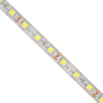 GLOBOSTAR® BRIGHTKIT 70414 Σετ Ταινίας με RF Ασύρματο Χειριστήριο & Τροφοδοτικό LED 72W 7920lm 120° AC 220-240V Αδιάβροχο IP65 300 x SMD5050 Chip Ψυχρό Λευκό 6000K Dimmable – Sanan SMD Chip – Μ500 x Π1 x Υ0.3cm – Ρολό 5 Μέτρων – 2 Χρόνια Εγγύηση