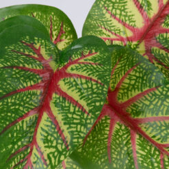 Alternative view of GloboStar® CALADIUM 78218 Τεχνητό Φυτό Καλάδιο - Μπουκέτο Διακοσμητικών Φυτών - Κλαδιών με Φύλλωμα Πράσινο - Κίτρινο - Κόκκινο Υ23cm