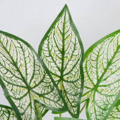 Alternative view of GloboStar® SYNGONIUM 78224 Τεχνητό Φυτό Συγγόνιο - Μπουκέτο Διακοσμητικών Φυτών - Κλαδιών με Φύλλωμα Πράσινο - Λευκό Υ37cm