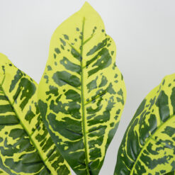 Alternative view of GloboStar® GREEN CROTON 78226 Τεχνητό Φυτό Κροτώνας Πράσινος - Μπουκέτο Διακοσμητικών Φυτών - Κλαδιών με Φύλλωμα Πράσινο Υ44cm