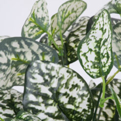 Alternative view of GloboStar® POLKA DOT PLANT 78259 Τεχνητό Φυτό Πόλκα - Μπουκέτο Διακοσμητικών Φυτών - Κλαδιών με Φύλλωμα Πράσινο - Λευκό Υ33cm