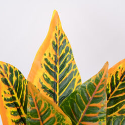 Alternative view of GloboStar® ORANGE CROTON 78260 Τεχνητό Φυτό Κρότωνας Πορτ. - Μπουκέτο Διακοσμητικών Φυτών - Κλαδιών με Φύλλωμα Πράσινο - Πορτοκαλί Υ34cm