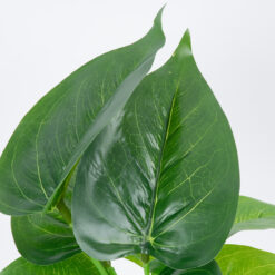 Alternative view of GloboStar® POTHOS 78266 Τεχνητό Φυτό Πόθος - Μπουκέτο Διακοσμητικών Φυτών - Κλαδιών με Φύλλωμα Πράσινο Υ28cm