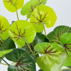 Alternative view of GloboStar® CENTELLA 78267 Τεχνητό Φυτό Σεντέλα - Μπουκέτο Διακοσμητικών Φυτών - Κλαδιών με Φύλλωμα Πράσινο Υ33cm