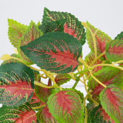 Alternative view of GloboStar® SWEDISH IVY 78270 Τεχνητό Φυτό Σουηδικός Κισσός - Μπουκέτο Διακοσμητικών Φυτών - Κλαδιών με Φύλλωμα Πράσινο - Κόκκινο Υ28cm