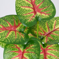 Alternative view of GloboStar® CALADIUM 78271 Τεχνητό Φυτό Καλάδιο - Μπουκέτο Διακοσμητικών Φυτών - Κλαδιών με Φύλλωμα Πράσινο - Κόκκινο - Κίτρινο Υ28cm