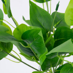 Alternative view of GloboStar® WATER PLANTAIN 78284 Τεχνητό Φυτό Άλισμα - Μπουκέτο Διακοσμητικών Φυτών - Κλαδιών με Φύλλωμα Πράσινο Υ30cm