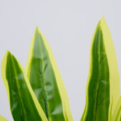 Alternative view of GloboStar® CORN PLANT 78285 Τεχνητό Φυτό Δράκαινα Αρωματική - Μπουκέτο Διακοσμητικών Φυτών - Κλαδιών με Φύλλωμα Πράσινο - Κίτρινο Υ48cm