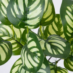 Alternative view of GloboStar® GREEN PEPEROMIA 78286 Τεχνητό Φυτό Πεπερόμια Πράσινη - Μπουκέτο Διακοσμητικών Φυτών - Κλαδιών με Φύλλωμα Πράσινο - Λευκό Υ33cm
