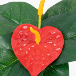 Alternative view of GloboStar® FLAMINGO FLOWER 78293 Τεχνητό Φυτό Ανθούριο - Μπουκέτο Διακοσμητικών Φυτών - Κλαδιών με Φύλλωμα Πράσινο - Πορτοκαλί - Κόκκινο Υ26cm