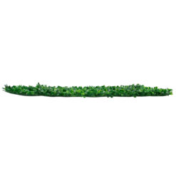 Alternative view of GLOBOSTAR® BUXUS 78415 Τεχνητό Πάνελ Φυλλωσιάς / Κάθετος Κήπος Πυξάρι - Πράσινο - Μ60 x Π4 x Υ40cm