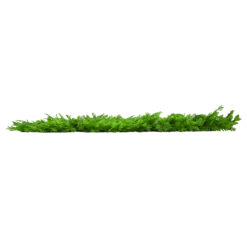 Alternative view of GLOBOSTAR® FERN 78422 Τεχνητό Πάνελ Φυλλωσιάς / Κάθετος Κήπος Βασιλική Φτέρη & Ίληξ - Πράσινο - Μ60 x Π9 x Υ40cm