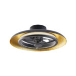 FAN3231168.jpg