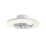 FAN32316110.jpg