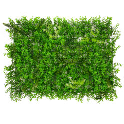 Alternative view of GLOBOSTAR® BUXUS 78412 Τεχνητό Πάνελ Φυλλωσιάς / Κάθετος Κήπος Καυκάσιο Πυξάρι, Φτέρη & Tokyo Sun - Πράσινο - Μ60 x Υ9 x Π40cm - Πράσινο - Μ60 x Υ9 x Π40cm