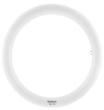 Λάμπα led T9 κυκλική με starter 20w/865 2000lm (32w) Radium 43218813BR